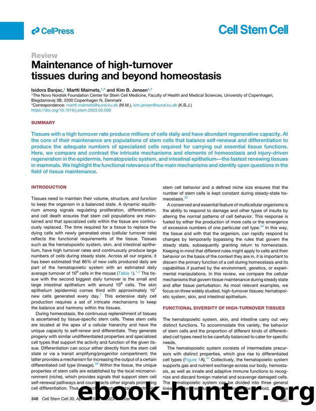 Maintenance of high-turnover tissues during and beyond homeostasis by Isidora Banjac & Martti Maimets & Kim B. Jensen