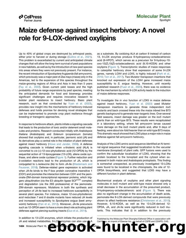 Maize defense against insect herbivory: A novel role for 9-LOX-derived oxylipins by Guillermo H. Jimenez-Aleman & Georg Jander