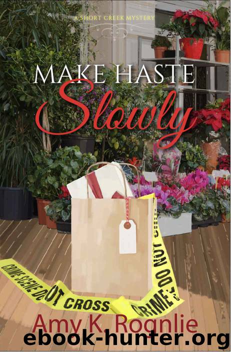 Make Haste Slowly by Amy K Rognlie