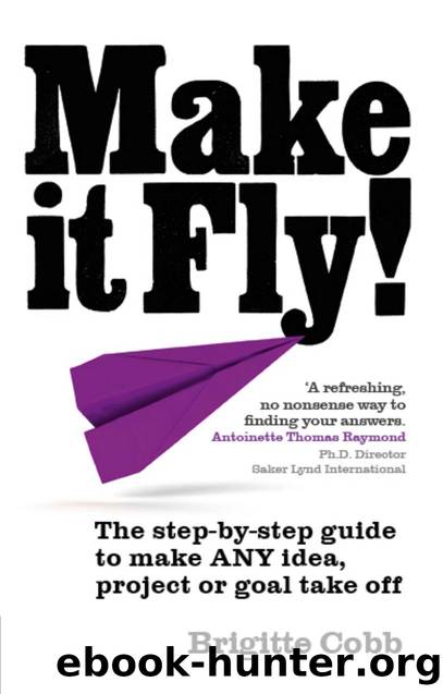 Make It Fly! by The Step-By-St