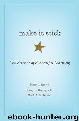 Make It Stick by Brown Peter C