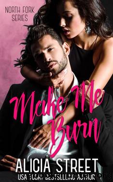 Make Me Burn (North Fork Series Book 9) by Alicia Street
