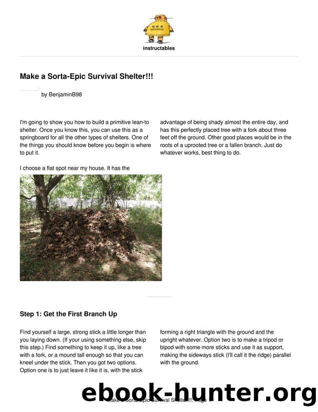Make a Sorta-Epic Survival Shelter!!! by Unknown