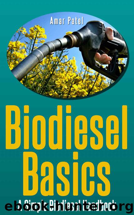Make your own biodiesel : A Simple BioDiesel Handbook ( Learn to Make BioDiesel Step by Step The Easy Way): Make your own BioDiesel: The definitive step ... Bio Diesel Step by Step The Easy Way) 1)
