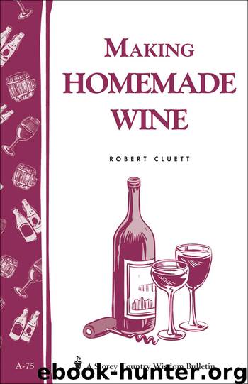 Making Homemade Wine by Robert Cluett