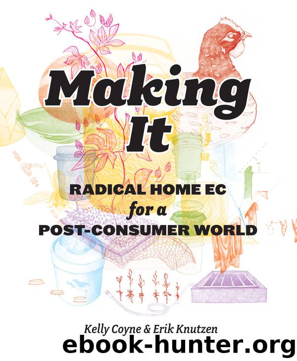Making It: Radical Home Ec for a Post-Consumer World by Kelly Coyne & Erik Knutzen