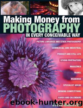 Making Money from Photography in Every Conceivable Way by Steve Bavister