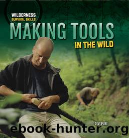 Making Tools in the Wild by Devi Puri