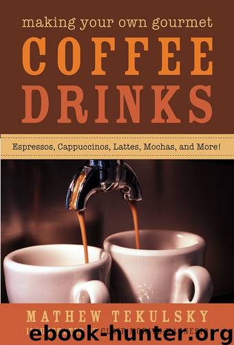 Making Your Own Gourmet Coffee Drinks by Mathew Tekulsky