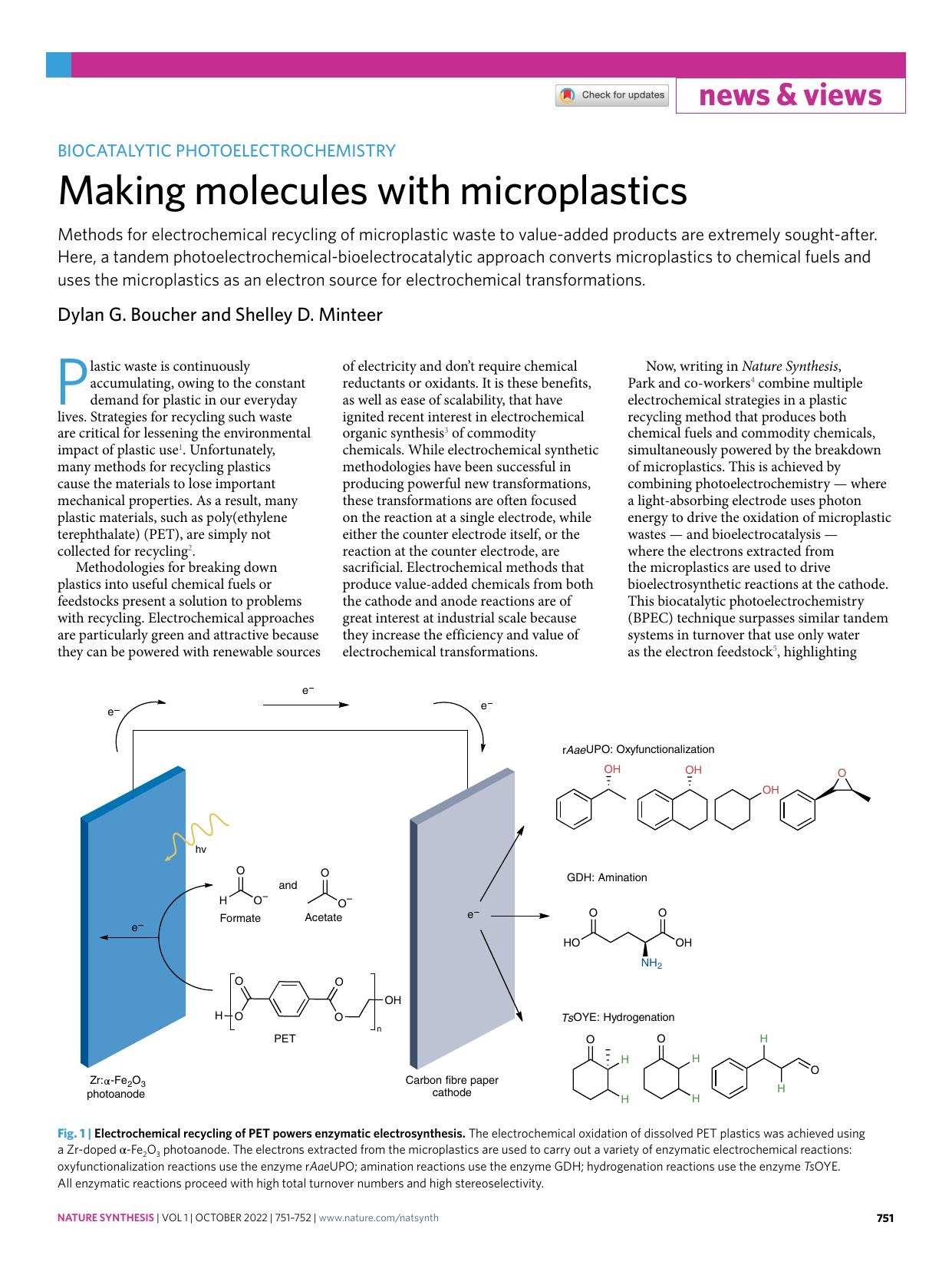 Making molecules with microplastics by Dylan G. Boucher & Shelley D. Minteer