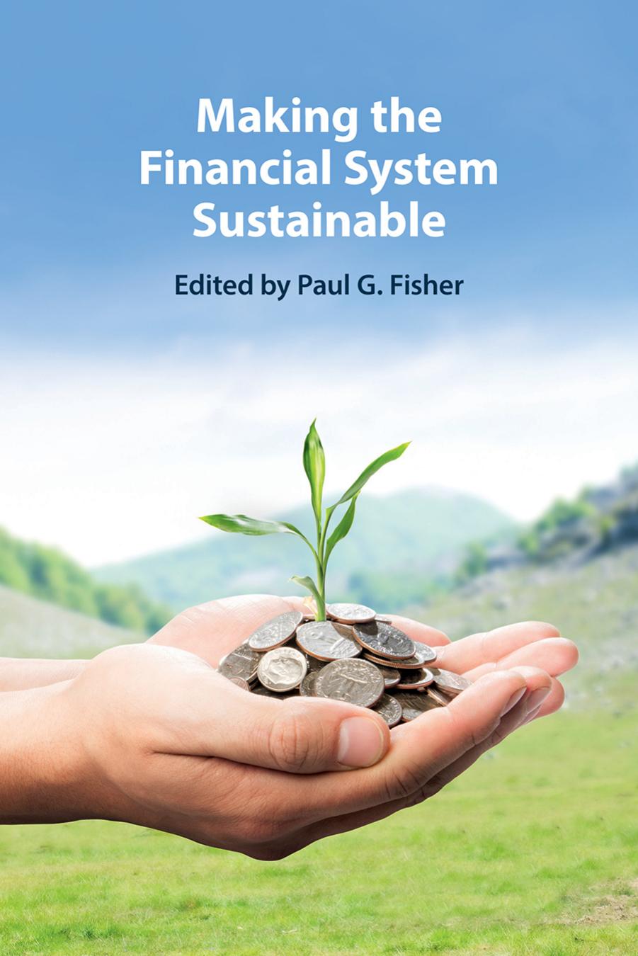 Making the Financial System Sustainable by Paul G. Fisher (editor)