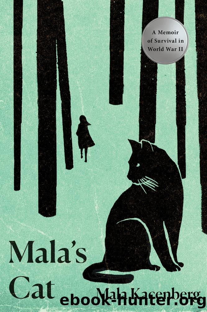 Mala's Cat by Mala Kacenberg