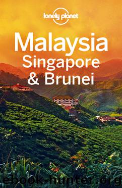 Malaysia, Singapore & Brunei Travel Guide by Lonely Planet