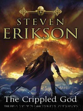 Malazan 10 - The Crippled God by Erikson Steven