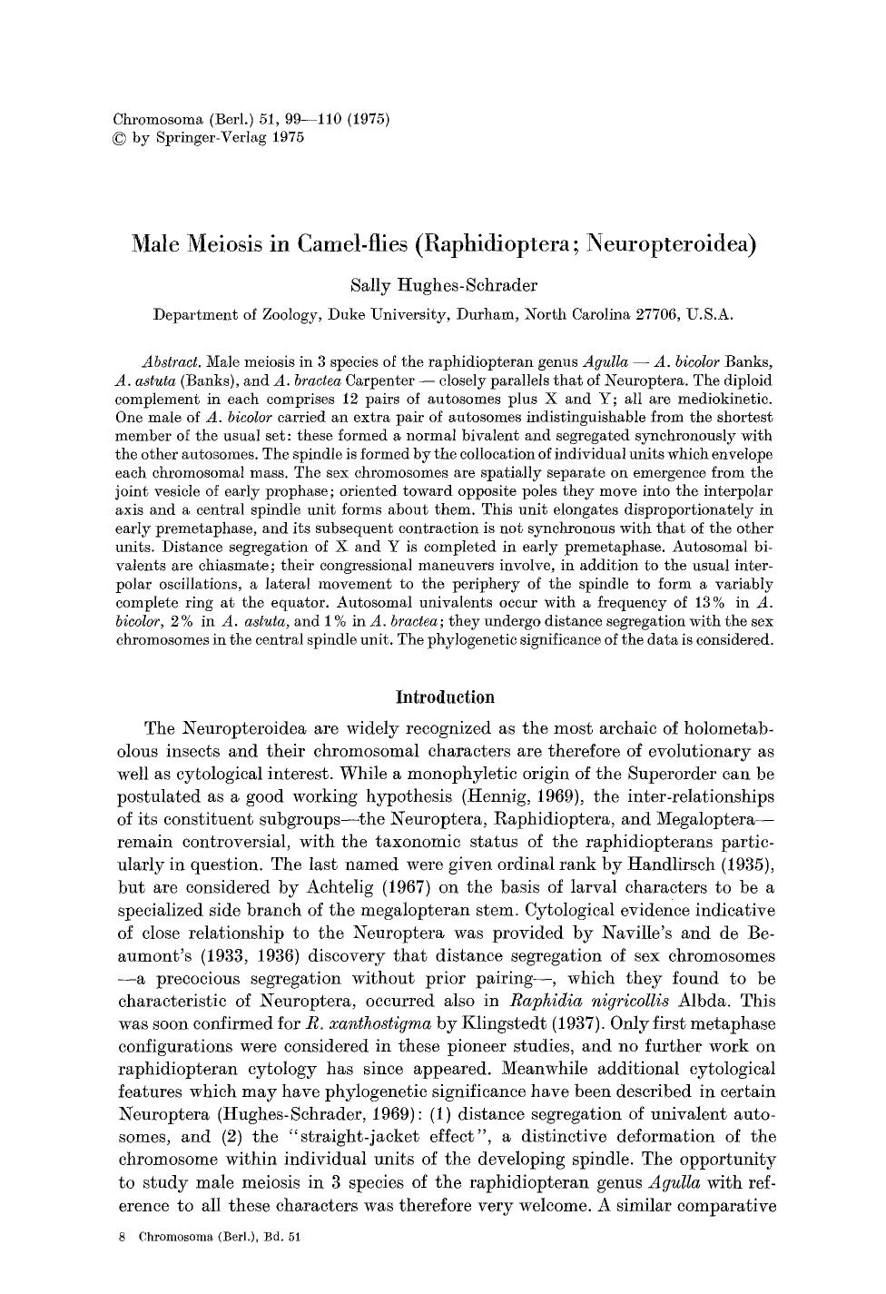 Male meiosis in camel-flies (Raphidioptera; Neuropteroidea) by Unknown