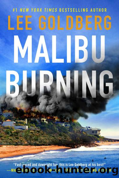 Malibu Burning by Goldberg Lee