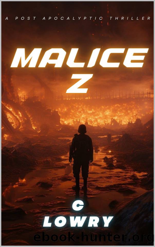 Malice Z - a post apocalyptic action thriller by C Lowry