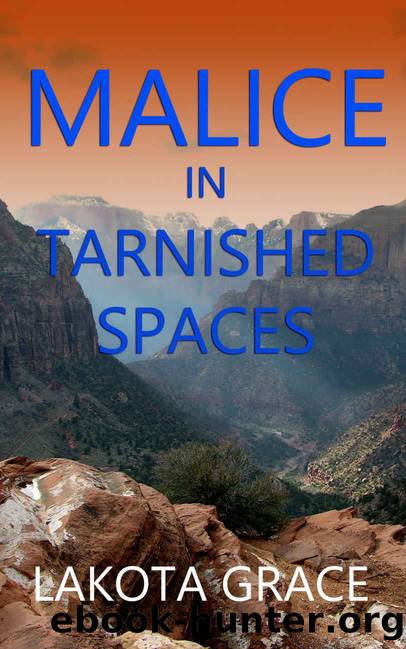 Malice in Tarnished Spaces: A small town police procedural set in the American Southwest (The Pegasus Quincy Mystery Series Book 6) by Lakota Grace