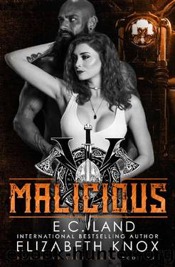 Malicious: A Nomad Biker Novel (Raiders of Valhalla MC Book 1) by Elizabeth Knox & E.C. Land