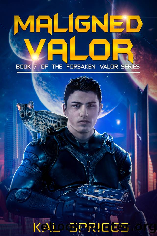 Maligned Valor: A Young Adult Military Science Fiction Novel by Spriggs Kal