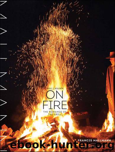 Mallmann on Fire by Francis Mallmann & Peter Kaminsky
