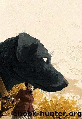 Mama Bruise by Jonathan Carroll