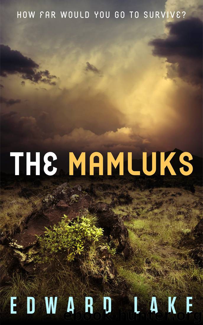 Mamluks by Edward Lake