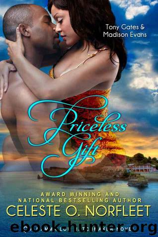 Mamma Lou Matchmaker 1: Priceless Gift by Celeste Norfleet