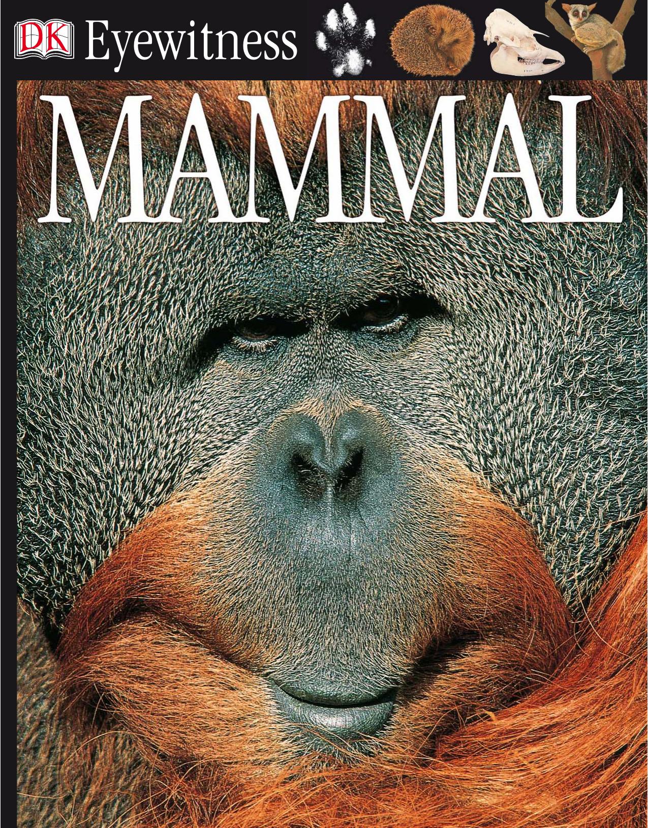 Mammal (DK Eyewitness Books) by Unknown