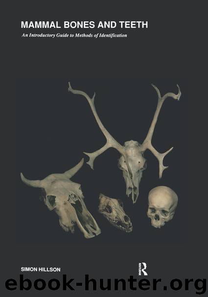Mammal Bones and Teeth: An Introductory Guide to Methods of Identification (UCL Institute of Archaeology Publications) by Simon Hillson