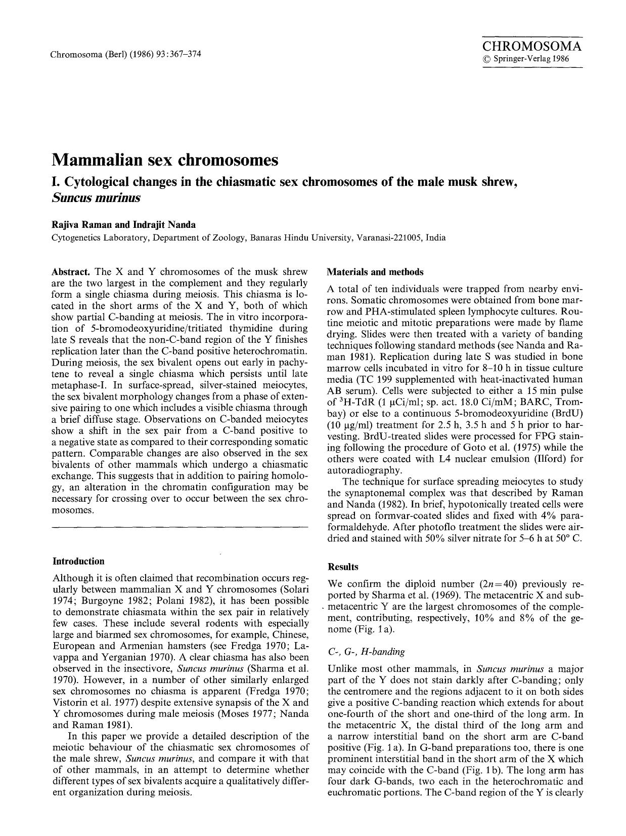 Mammalian sex chromosomes by Unknown