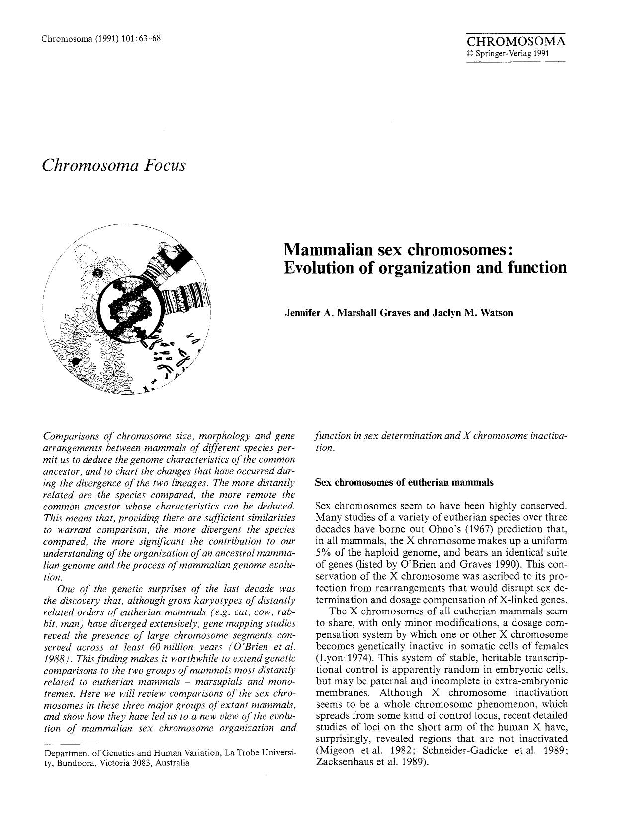 Mammalian sex chromosomes: Evolution of organization and function by Unknown