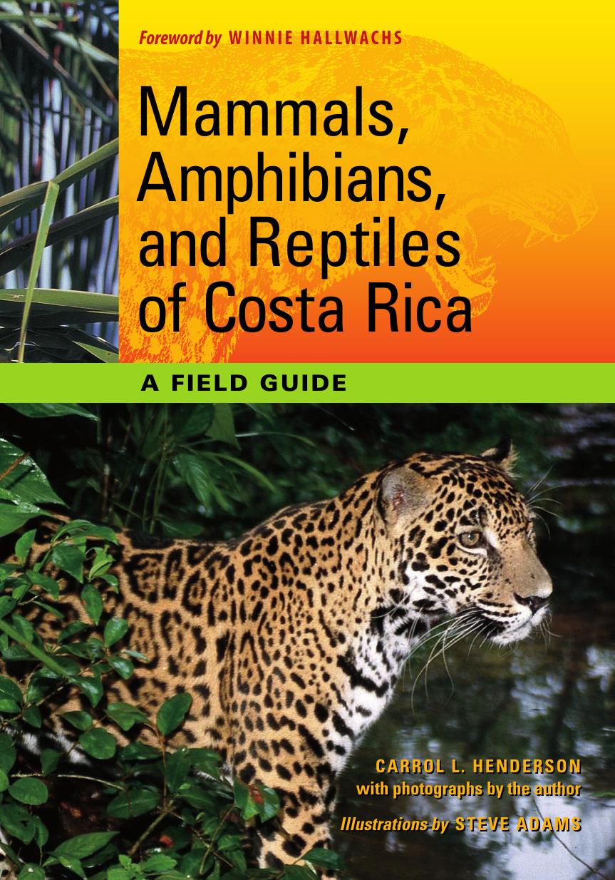 Mammals, Amphibians, and Reptiles of Costa Rica by Henderson Carrol L. Adams Steve Hallwachs Winifred