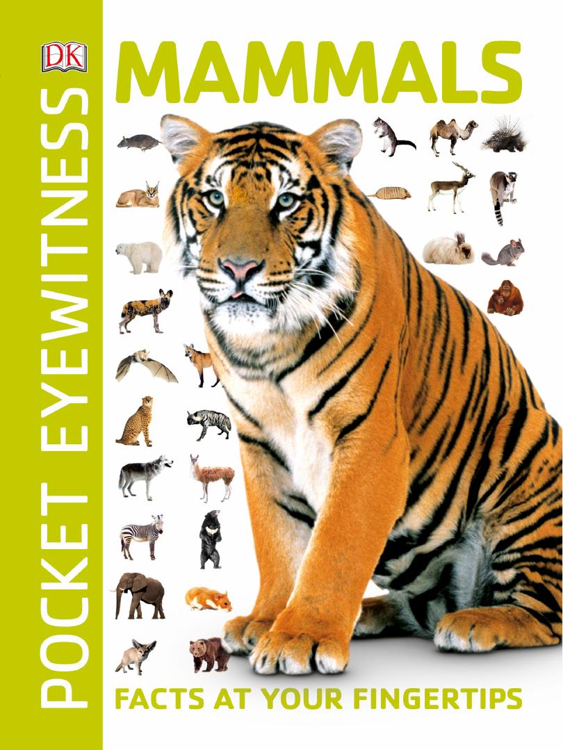 Mammals: Facts at Your Fingertips by Dorling Kindersley