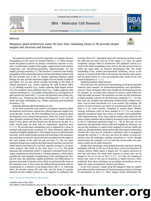 Mammary gland architecture under the lens: How visualising tissues in 3D provides deeper insights into structure and function by Krystyna A. Gieniec