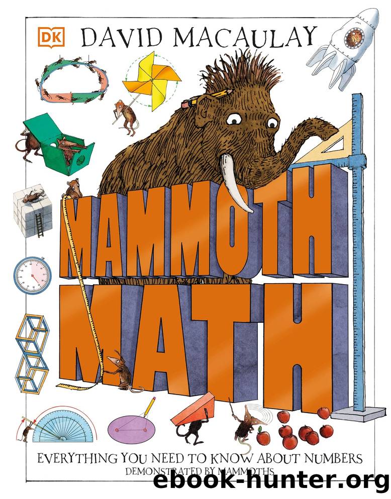 Mammoth Math (9780744073829) by MacAulay David