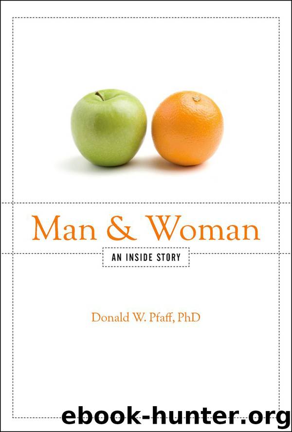 Man and Woman by Pfaff Donald W
