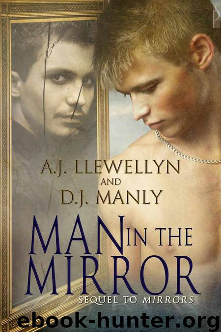 Man in the Mirror (Mirrors) by Llewellyn A.J. & Manly D.J
