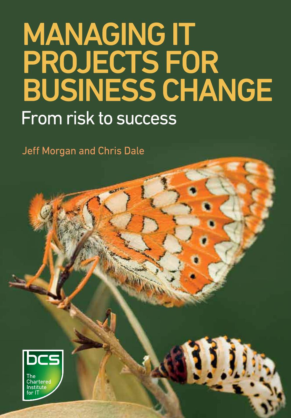 Managing It Projects for Business Change: From Risk to Success by Jeff Morgan and Chris Dale