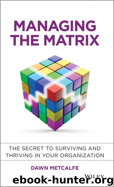 Managing the Matrix by Dawn Metcalfe