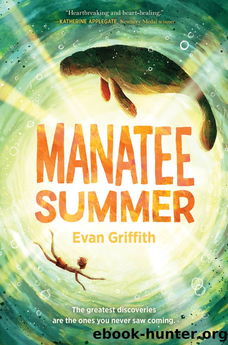 Manatee Summer by Evan Griffith