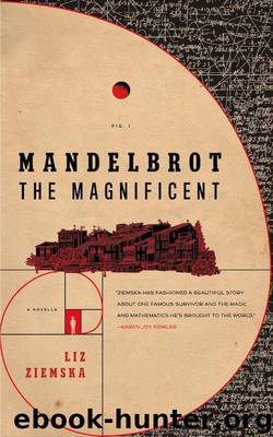 Mandelbrot the Magnificent: A Novella (Kindle Single) by Ziemska Liz