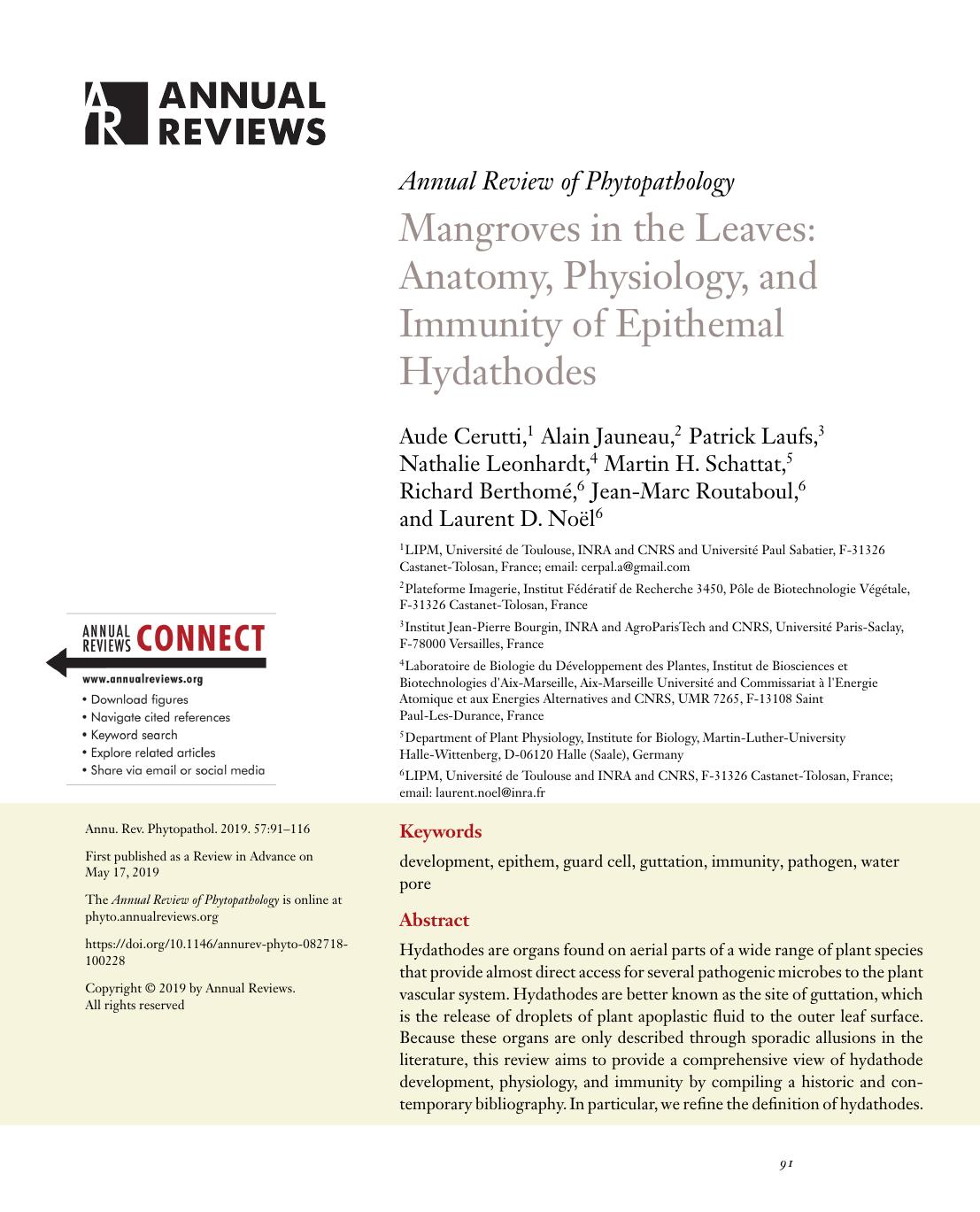 Mangroves in the Leaves: Anatomy, Physiology, and Immunity of Epithemal Hydathodes by unknow