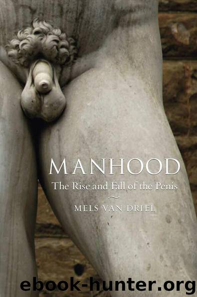 Manhood: The Rise and Fall of the Penis by Mels van Driel
