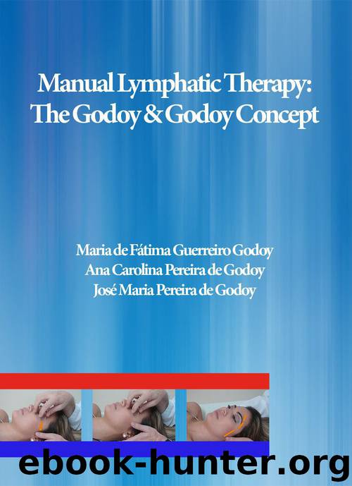 Manual Lymphatic Therapy: The Godoy & Godoy Concept by José Maria Pereira de Godoy & Ana Carolina Pereira de Godoy & Godoy Maria de Fátima Guerreiro