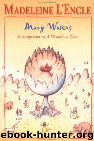 Many Waters by Madeleine L'Engle