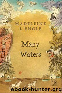 Many Waters by Madeleine L’Engle
