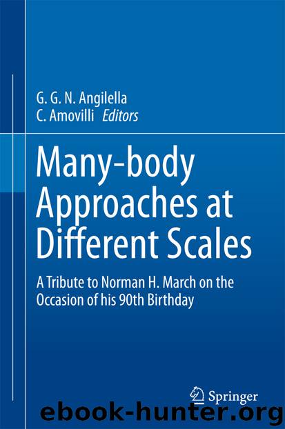 Many-body Approaches at Different Scales by G.G.N Angilella & C. Amovilli