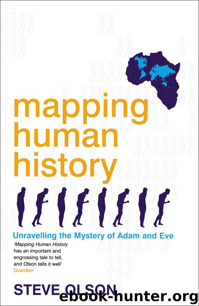 Mapping Human History by Steve Olson