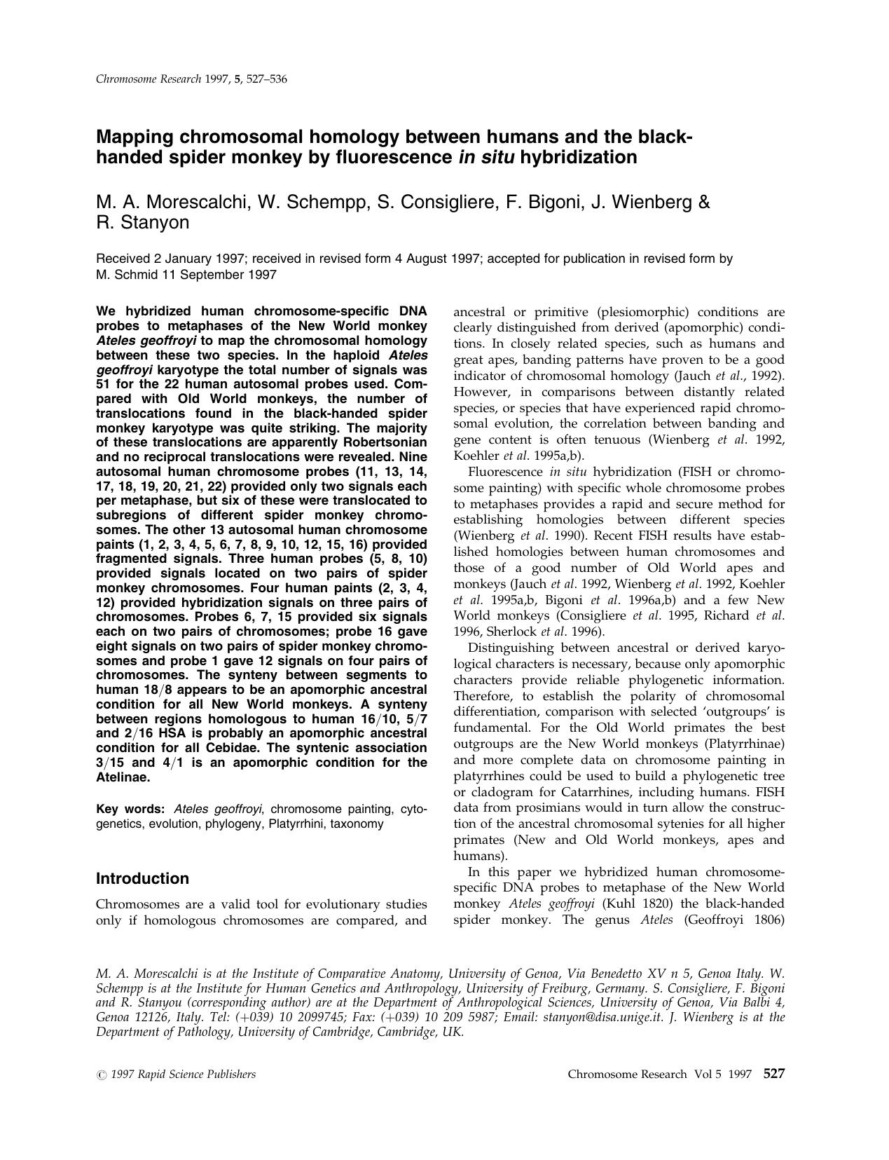 Mapping chromosomal homology between humans and the black-handed spider monkey by fluorescence in situhybridization by Unknown